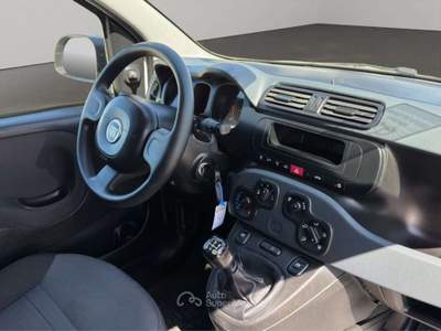 Fiat Panda 1.3MJT Van 2 posti Bianco usata San Miniato