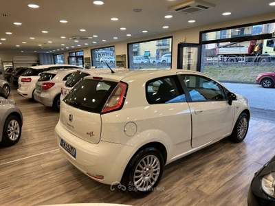 Fiat Punto 3 porte Lounge Bianco usata Pieve a Nievole