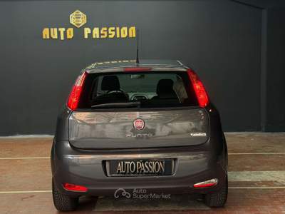 Fiat Punto 5p 1.2 Street Euro6 Uni.Prop Ok neopatentsti usata Sesto San Giovanni