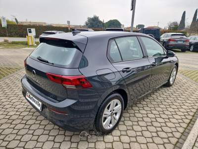 Volkswagen Golf 2.0 TDI 115cv Life Grigio usata Prevalle