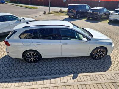Volkswagen Golf Golf Variant 2.0 tdi Life 115cv dsg Bianco usata Prevalle