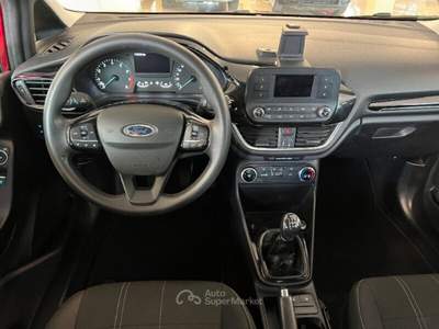 Ford Fiesta Fiesta 1.1 5 porte Plus Rosso usata MONTE URANO