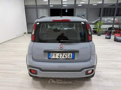 Fiat Panda City Cross Grigio usata Ausonia