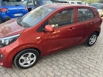 Kia Picanto 12V 5 porte X Line Rosso usata San Gregorio di Catania