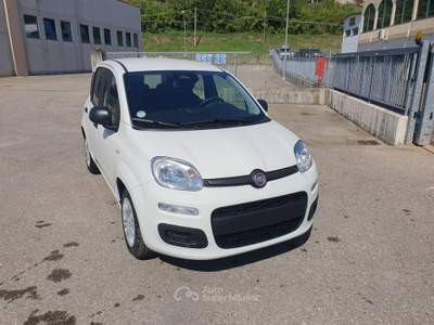 Fiat Pandina 1.0 FireFly 65 CV Hybrid Icon Bianco usata Medesano