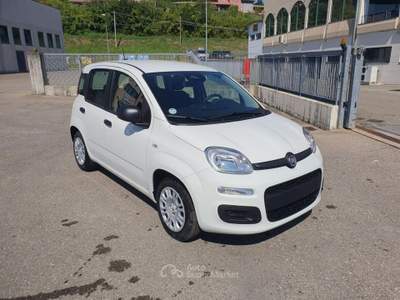 Fiat Pandina 1.0 FireFly 65 CV Hybrid Icon Bianco usata Medesano