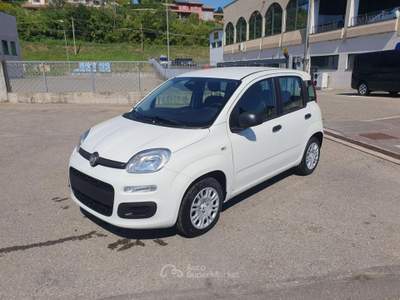 Fiat Pandina 1.0 FireFly 65 CV Hybrid Icon Bianco usata Medesano