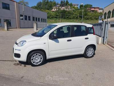 Fiat Pandina 1.0 FireFly 65 CV Hybrid Icon Bianco usata Medesano
