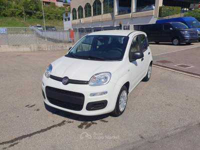 Fiat Pandina 1.0 FireFly 65 CV Hybrid Icon Bianco usata Medesano