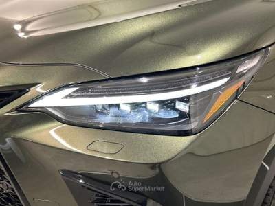 Lexus NX 2.5 Plug-in F-Sport 4WD e-CVT Verde usata Brescia