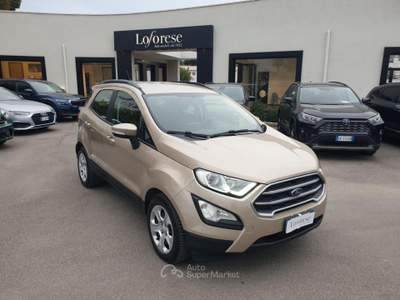 Ford EcoSport 1.5 Ecoblue 100 CV Start&Stop Business Bronzo usata Taranto
