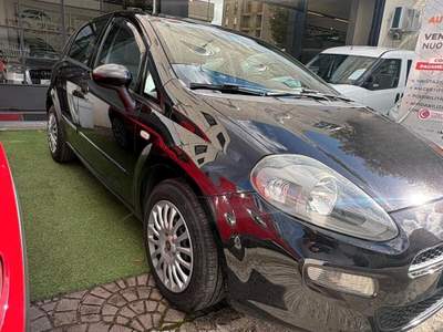 Fiat Punto Evo  usata Gualdo Tadino