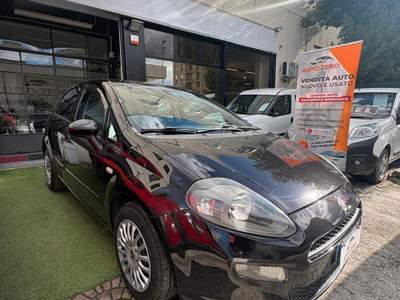 Fiat Punto Evo  usata Gualdo Tadino