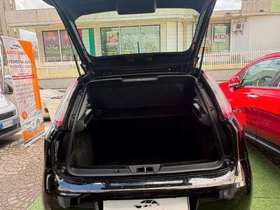 Fiat Punto Evo  usata Gualdo Tadino