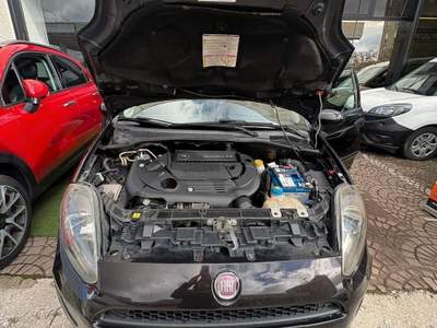 Fiat Punto Evo  usata Gualdo Tadino