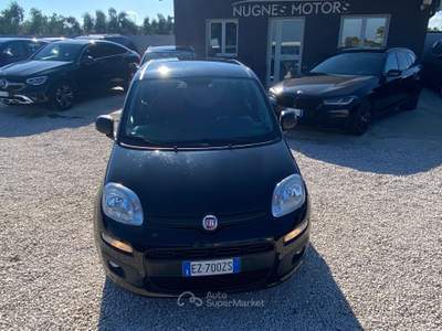 Fiat Panda Lounge NEOPATENTATI UNICO PROPIETARIO BENZINA MANUALE Nero usata Corato