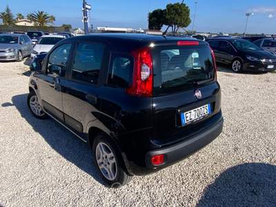 Fiat Panda Lounge NEOPATENTATI UNICO PROPIETARIO BENZINA MANUALE Nero usata Corato