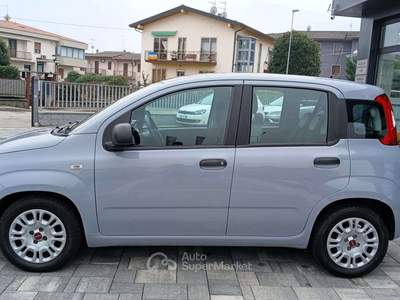 Fiat Panda Panda III  1.0 firefly hybrid Grigio usata Pescantina