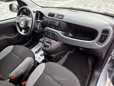 Fiat Panda Panda III  1.0 firefly hybrid Grigio usata Pescantina