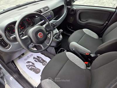 Fiat Panda Panda III  1.0 firefly hybrid Grigio usata Pescantina