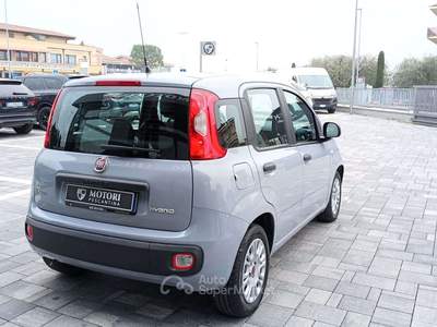 Fiat Panda Panda III  1.0 firefly hybrid Grigio usata Pescantina