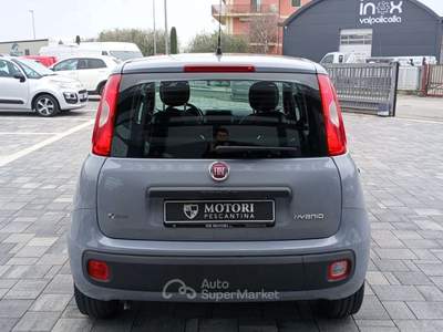 Fiat Panda Panda III  1.0 firefly hybrid Grigio usata Pescantina