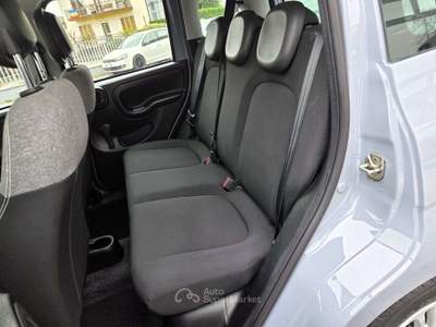Fiat Panda Panda III  1.0 firefly hybrid Grigio usata Pescantina