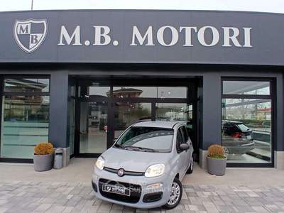 Fiat Panda Panda III  1.0 firefly hybrid Grigio usata Pescantina