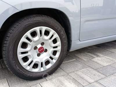 Fiat Panda Panda III  1.0 firefly hybrid Grigio usata Pescantina
