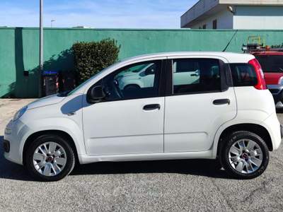 Fiat Panda 1.3 M-JET 4 POSTI - 2018 usata Corato