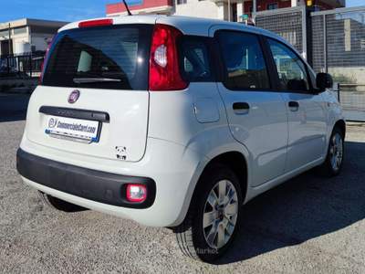 Fiat Panda 1.3 M-JET 4 POSTI - 2018 usata Corato