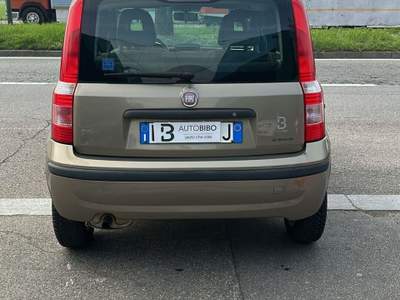 Fiat Panda Dynamic Beige usata Torino