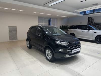 Ford EcoSport 1.5 EcoBlue 95cv Business Grigio usata Forlì