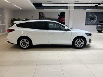Ford Focus Focus 1.5 EcoBlue 120 CV SW Business Bianco usata Forlì