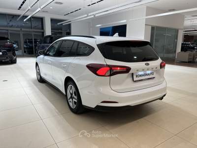 Ford Focus Focus 1.5 EcoBlue 120 CV SW Business Bianco usata Forlì