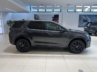 Land Rover Discovery Sport Discovery Sport 2.0 TD4 163 CV AWD Auto S Grigio usata Forlì