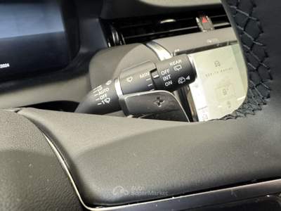 Land Rover Discovery Sport Discovery Sport 2.0 TD4 163 CV AWD Auto S Grigio usata Forlì