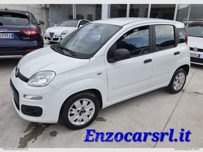 Fiat Panda Panda 1.3 MJT S&S Easy Van 4 posti N1 4 POSTI Bianco usata Ascoli Satriano