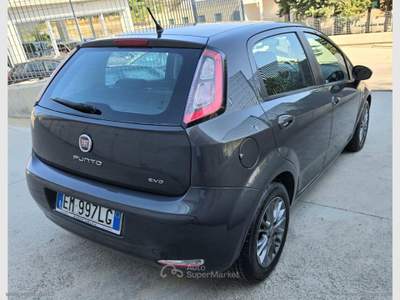 Fiat Punto Punto 1.3 MJT II S&S 95 CV 5p. Lounge Bianco usata Ascoli Satriano