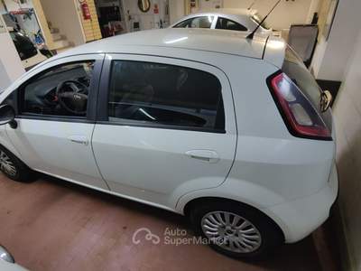 Fiat Punto Evo 5 Porte MyLife Bianco usata Roma