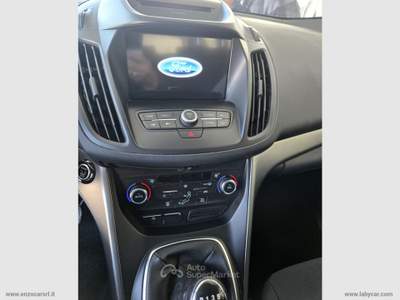 Ford Kuga Kuga 2.0 TDCI 120CV S&S 2WD Tit.Business 2019 Argento usata Ascoli Satriano