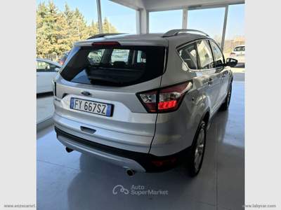 Ford Kuga Kuga 2.0 TDCI 120CV S&S 2WD Tit.Business 2019 Argento usata Ascoli Satriano