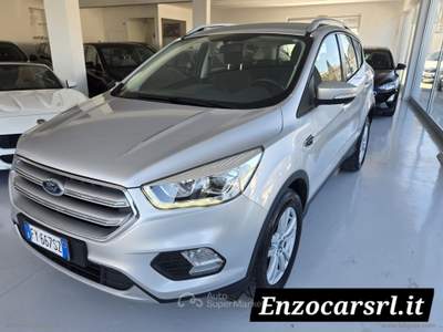 Ford Kuga Kuga 2.0 TDCI 120CV S&S 2WD Tit.Business 2019 Argento usata Ascoli Satriano