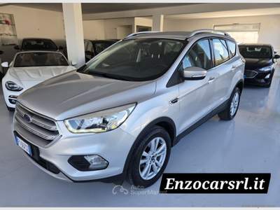 Ford Kuga Kuga 2.0 TDCI 120CV S&S 2WD Tit.Business 2019 Argento usata Ascoli Satriano