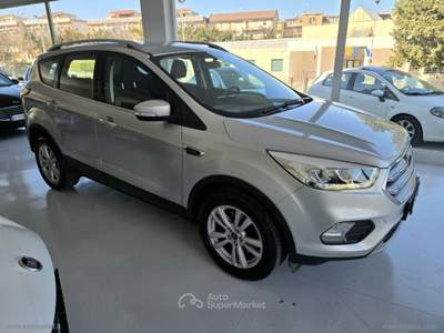 Ford Kuga Kuga 2.0 TDCI 120CV S&S 2WD Tit.Business 2019 Argento usata Ascoli Satriano
