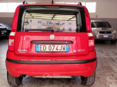 Fiat Panda 1.2 Dynamic Rosso usata SAN MARTINO SICCOMARIO