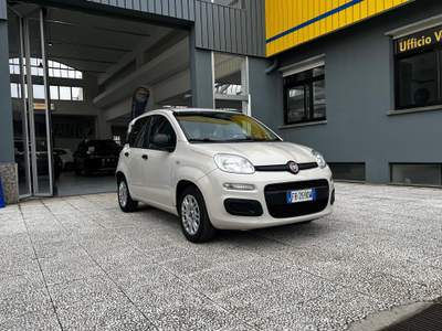 Fiat Panda Panda 1.2 easy 69cv e6 Beige usata Torino