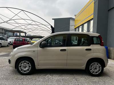 Fiat Panda Panda 1.2 easy 69cv e6 Beige usata Torino