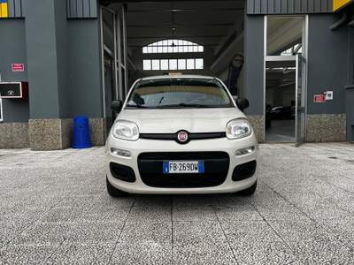 Fiat Panda Panda 1.2 easy 69cv e6 Beige usata Torino