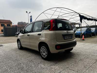 Fiat Panda Panda 1.2 easy 69cv e6 Beige usata Torino